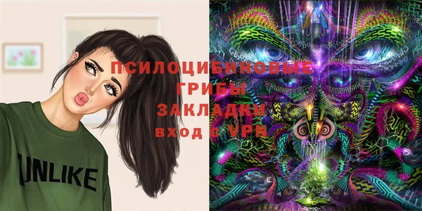эйфоретик Нефтекумск