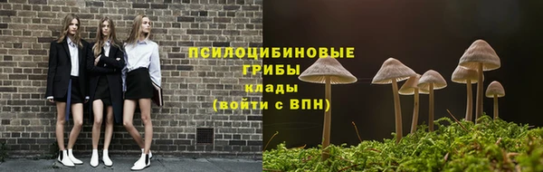 прущая мука Нея