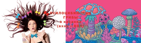 МДПВ Навашино