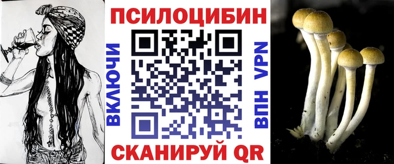 Псилоцибиновые грибы прущие грибы blacksprut онион Злынка